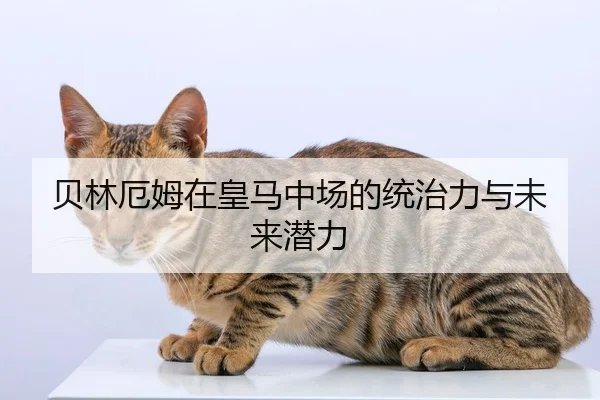 贝林厄姆在皇马中场的统治力与未来潜力